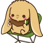 初心者キャンパーモナちゃん